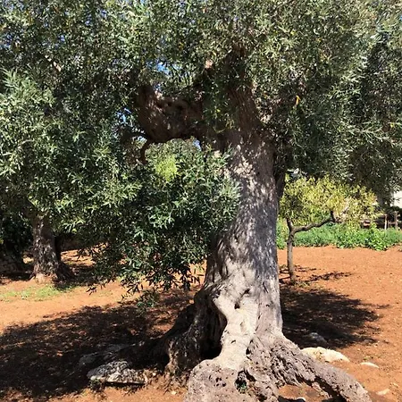 Panzió Dimora Sofia
