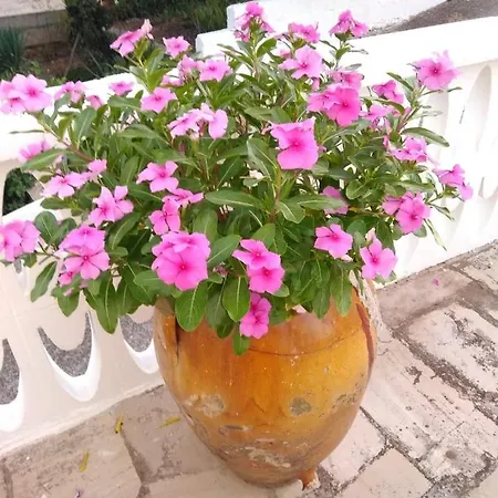 Dimora Sofia *