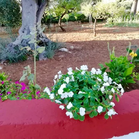Bed and Breakfast Dimora Sofia Monopoli