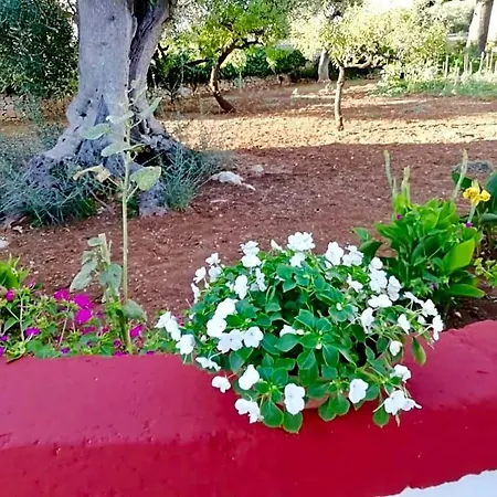 Dimora Sofia فندق مبيت وإفطار
