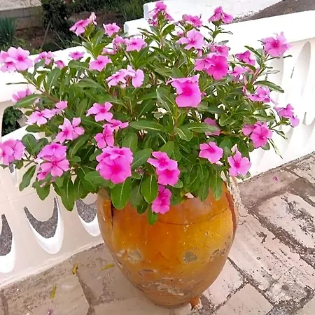 Dimora Sofia 3*