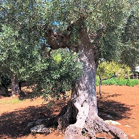 Dimora Sofia