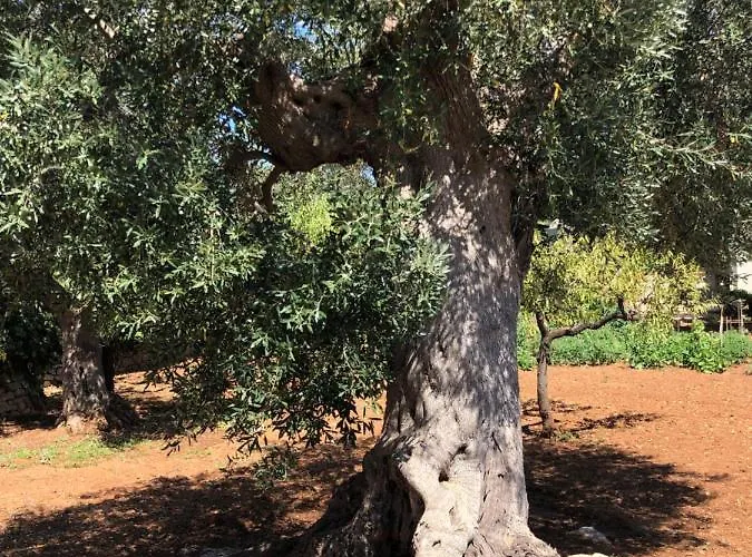 Bed & Breakfast Dimora Sofia