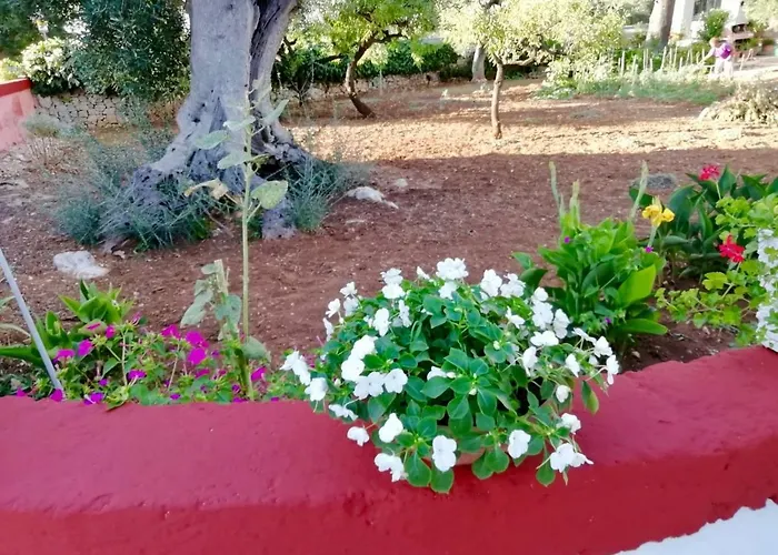 Bed & Breakfast Dimora Sofia Monopoli